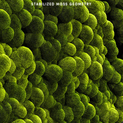 Mosswalls 2 — Ver 2