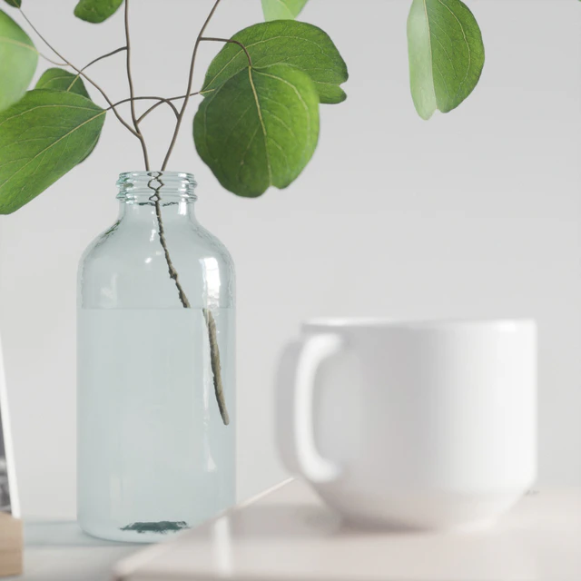 decorative set with eucalyptus branch 2 — Descargar