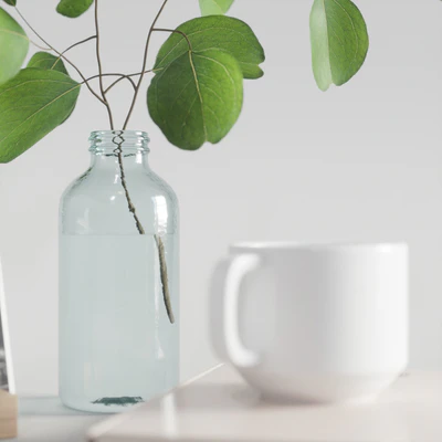decorative set with eucalyptus branch 2 — Ver 2