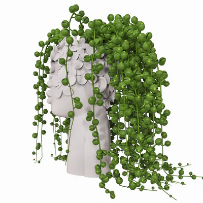 bouquet set — Вид 2
