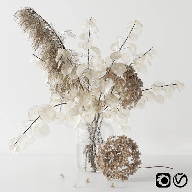 Bouquet with lunaria, pampas grass and hydragea — Скачать