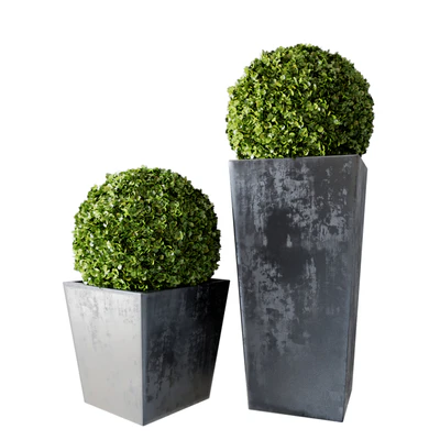 Boxwood Set 01 — Вид 1