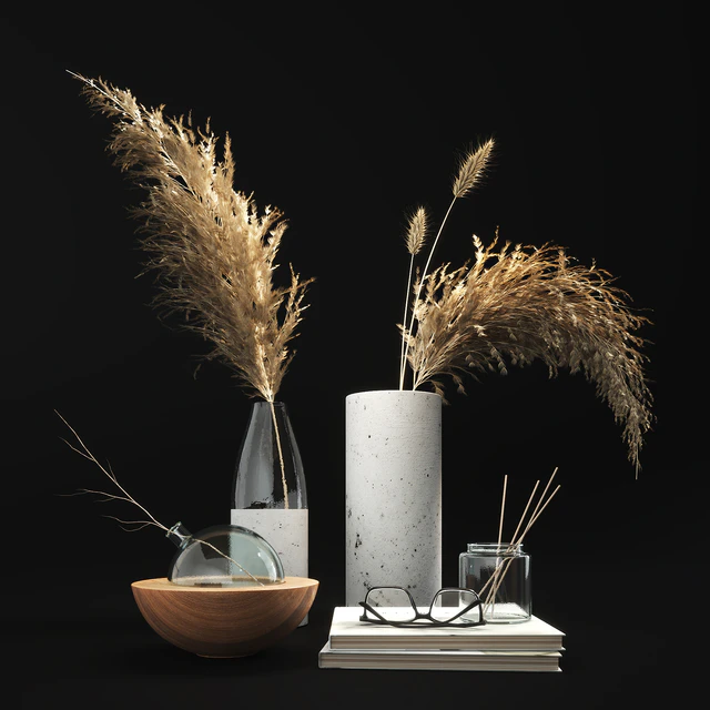 Decorative set with dry plants 01 — Descargar