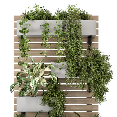 Indoor Hanging Plants in Metal Stand - Set 1131 — Вид 2