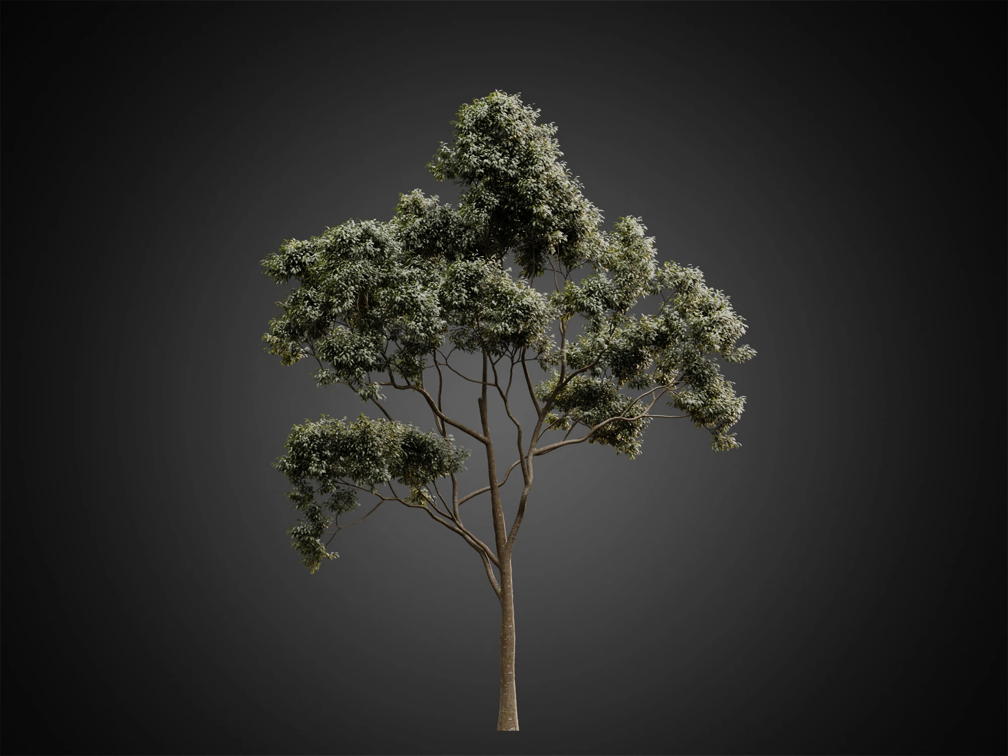 001 — Descargar