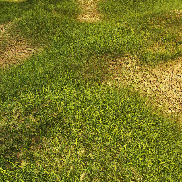 Grass with oak leaves — Descargar