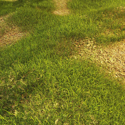Grass with oak leaves — Ver 2
