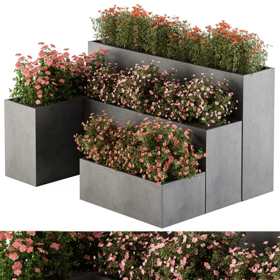 Flower Box - Outdoor Plants 436 — Вид 1