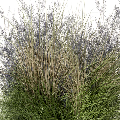 Outdoor Plants Bush-Bush Set 660 — Ver 3