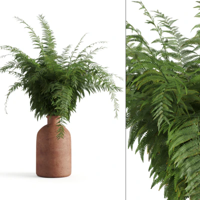 Fern in a clay vase — Ver 1
