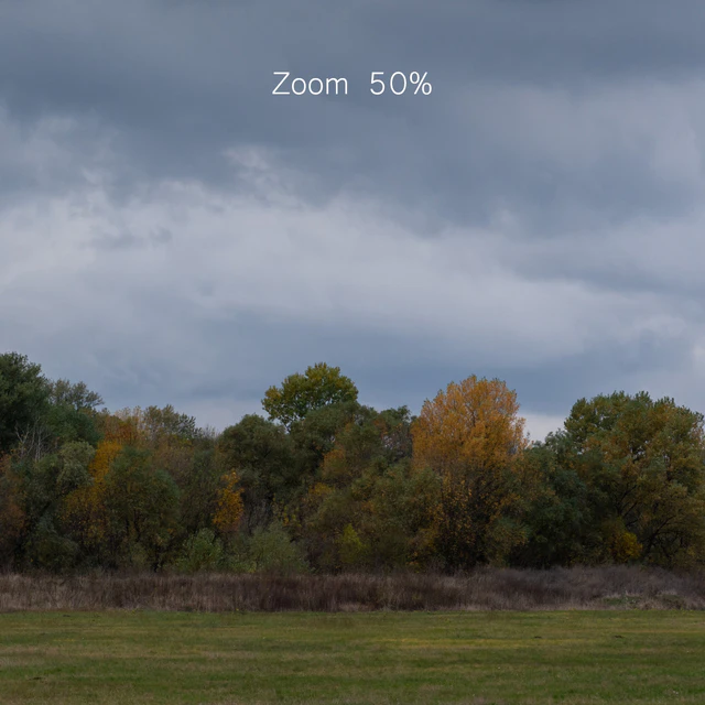 Cloudy panorama with autumn trees. 2 pcs — Descargar