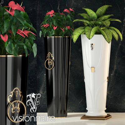Visionnaire Windsor & Chantilly — Ver 1