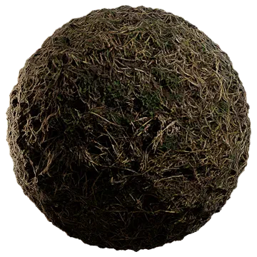 wild grass 026 — Скачать