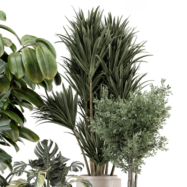 Indoor Plants in Ferm Living Bau Pot Large - Set 1328 — Descargar