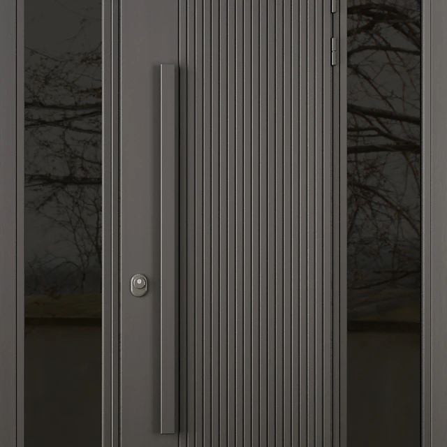 Entrance door set27 — Скачать