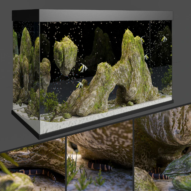 Aquarium with rocks and moss — Descargar