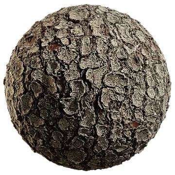 nordic forest detail bark spruce 001 — Скачать