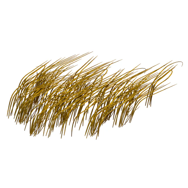 Трава в воде. Водоросли. Цицания водная. Водяная трава. — Скачать