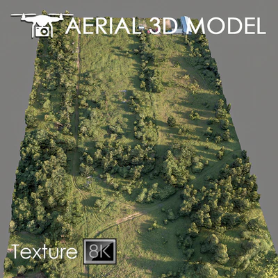 Forest 78 — Ver 1