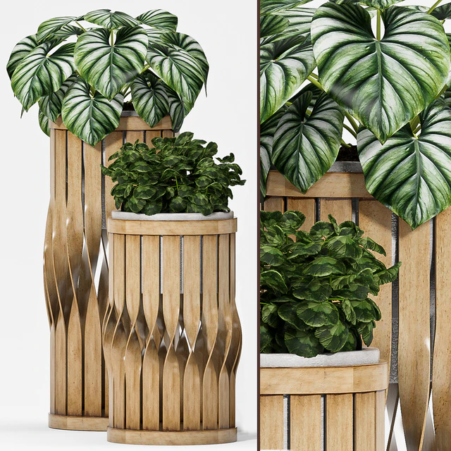 Plant set-121 — Descargar