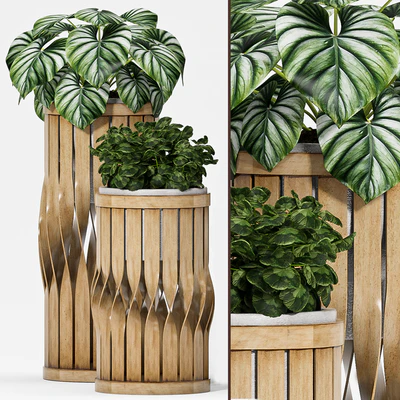 Plant set-121 — Ver 2