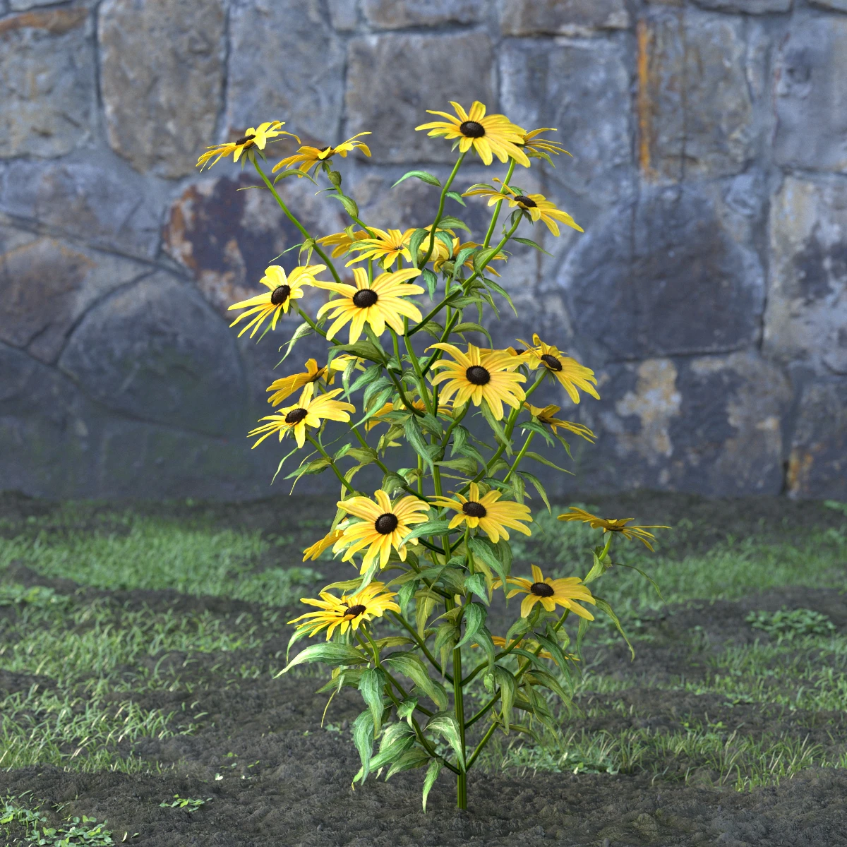 garden flowers 007 — Descargar