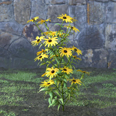 garden flowers 007 — Descargar