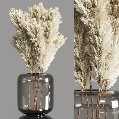 Collection Dry Plants Bouquet Indoor 02 — Ver 2