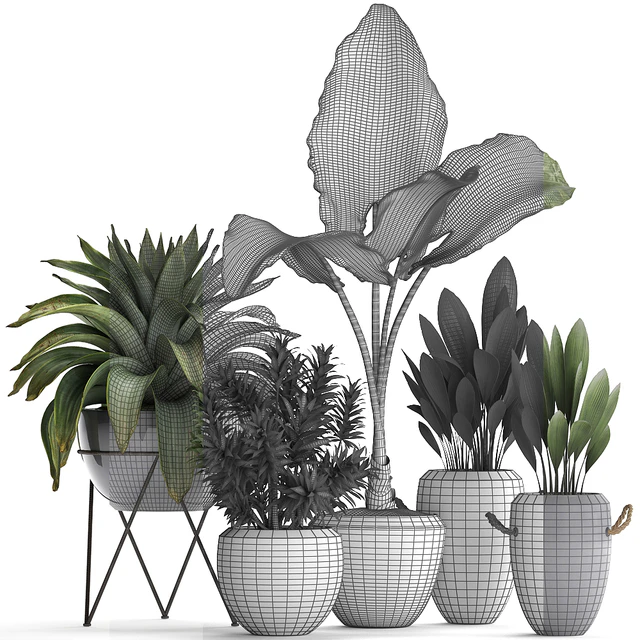 Plant Collection 395. Bromeliad, tropical plants, alocasia, dracaena, palm grass, indoor plants, exotic, tropical, stylish, bushes — Descargar