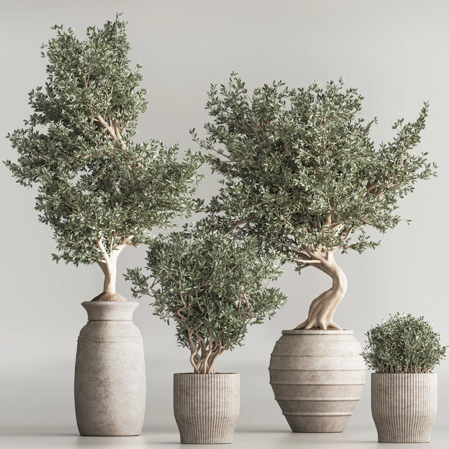 Indoor Plant Set 53 — Descargar
