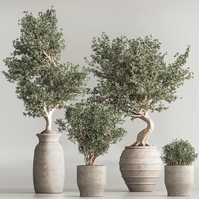 Indoor Plant Set 53 — Ver 2