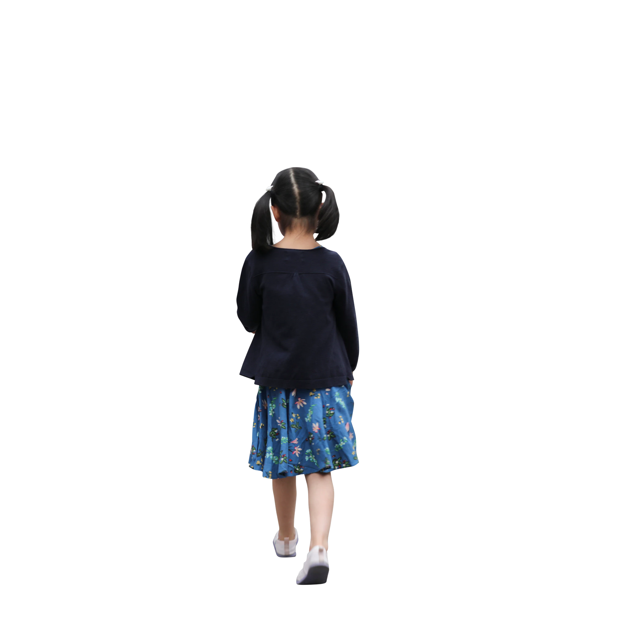 2818 — Descargar