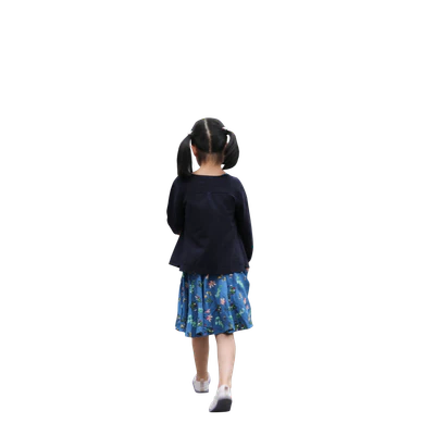 2818 — Descargar