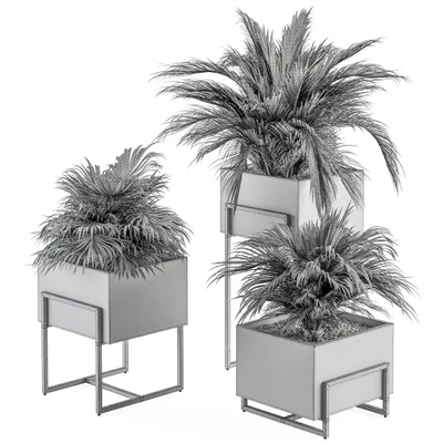 indoor Plant Set 318 - Plant Set in Wood Box — Вид 2