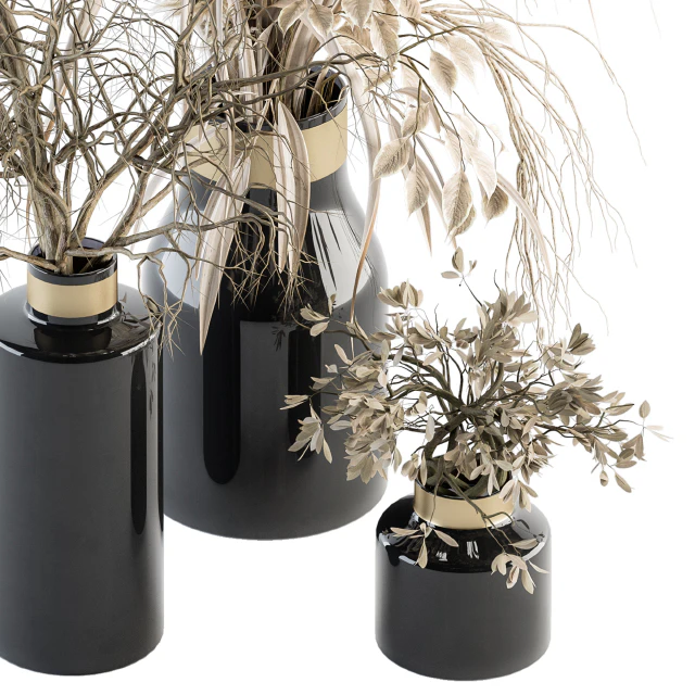 Dry plants 70 - Dried Pampas Set — Descargar