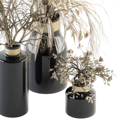 Dry plants 70 - Dried Pampas Set — Ver 2