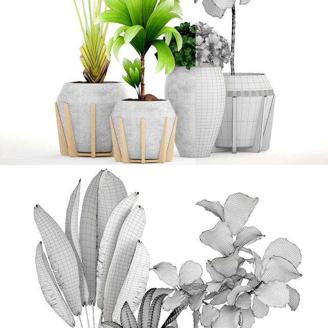 Коллекция растений 147. Бетонный вазон, цветок, горшок, Фикус лирата, дерево, куст, кокосовая пальма, экзотический, декоративный — Скачать