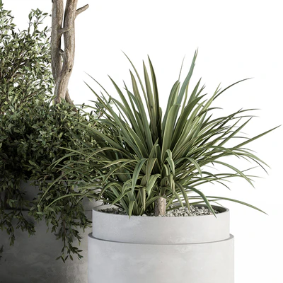 indoor Plant Set 341- Tree and Plant Set in Gray pot — Ver 2