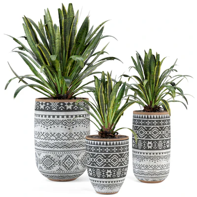 Indoor Plants  in Concrete Pots - Set 36 — Вид 1
