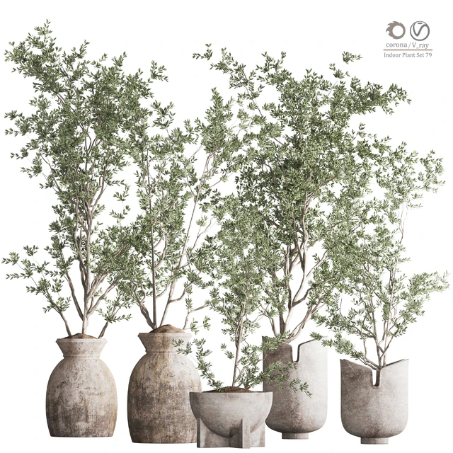 Indoor Plant Set 79 — Descargar