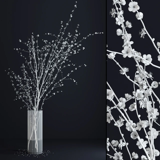 Prunus White Blossom — Descargar