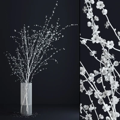 Prunus White Blossom — Ver 2