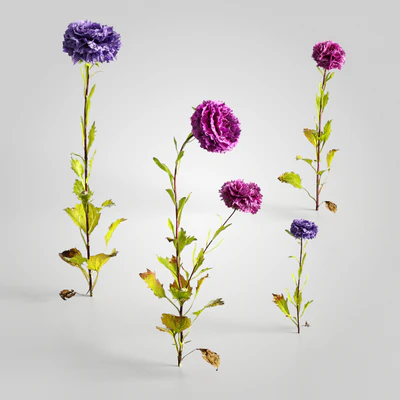 plants and weeds 007 — Descargar