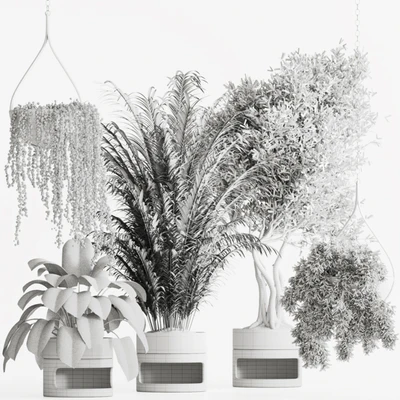Indoor Plant Set 57 — Вид 3