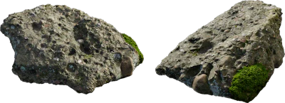 mossy forest rock 016 — Скачать