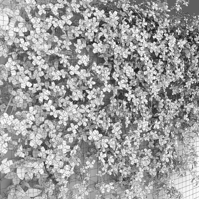 Clematis Montana #1 — Скачать