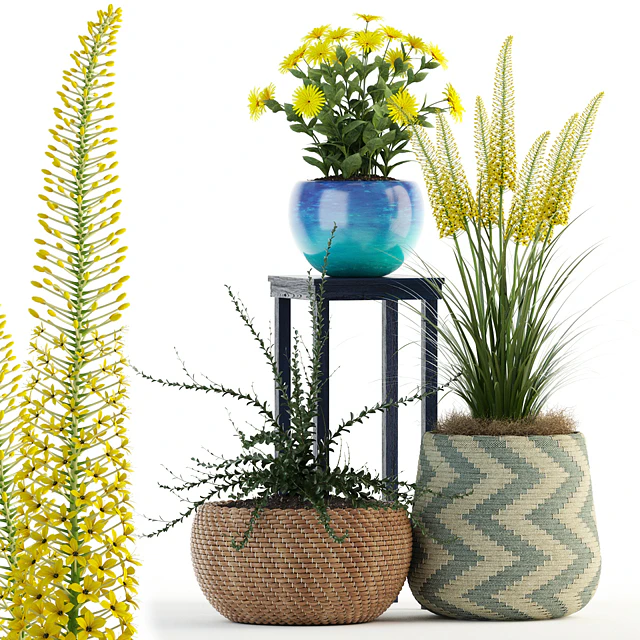 Plants collection 81 — Скачать