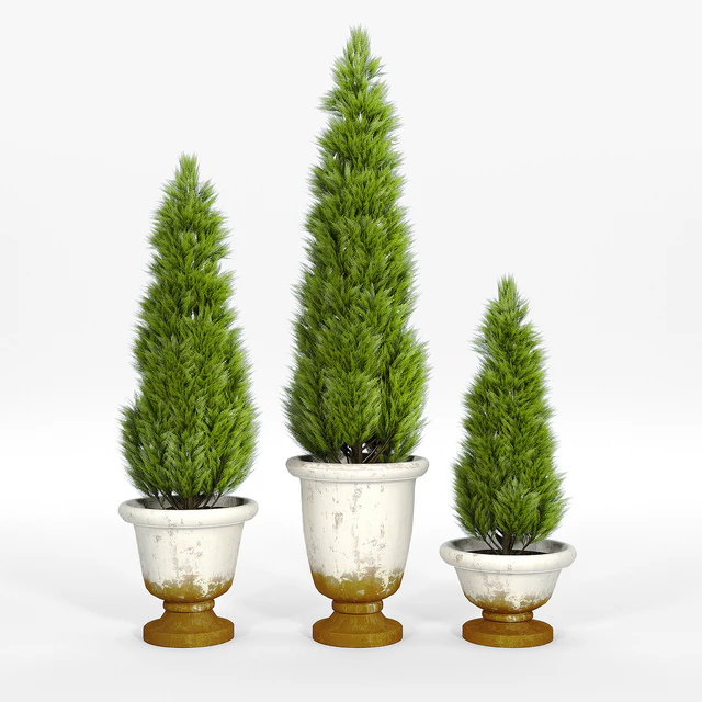 Tuscan planters — Descargar