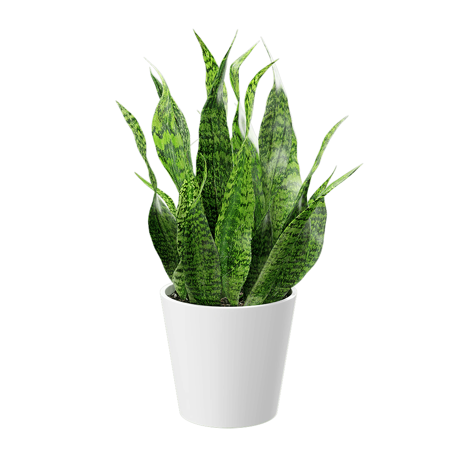 plant snake 002 — Скачать