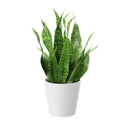 plant snake 002 — Скачать